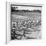 Players Running During the Dodgers Spring Training-George Silk-Framed Photographic Print