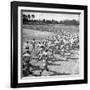 Players Running During the Dodgers Spring Training-George Silk-Framed Photographic Print