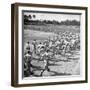 Players Running During the Dodgers Spring Training-George Silk-Framed Photographic Print