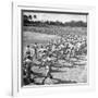 Players Running During the Dodgers Spring Training-George Silk-Framed Photographic Print
