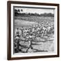 Players Running During the Dodgers Spring Training-George Silk-Framed Photographic Print