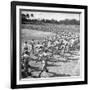 Players Running During the Dodgers Spring Training-George Silk-Framed Photographic Print