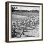 Players Running During the Dodgers Spring Training-George Silk-Framed Premium Photographic Print