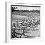 Players Running During the Dodgers Spring Training-George Silk-Framed Premium Photographic Print