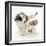 Playful Border Collie Puppies, 6 Weeks-Mark Taylor-Framed Photographic Print