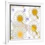 Playful Daisies-Mindy Sommers-Framed Giclee Print