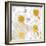 Playful Daisies-Mindy Sommers-Framed Giclee Print