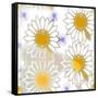 Playful Daisies-Mindy Sommers-Framed Stretched Canvas