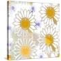 Playful Daisies-Mindy Sommers-Stretched Canvas