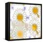 Playful Daisies-Mindy Sommers-Framed Stretched Canvas