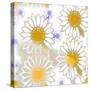 Playful Daisies-Mindy Sommers-Stretched Canvas