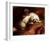 Playful Encounter-Thomas Earl-Framed Art Print