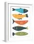 Playful Fish-Ayse-Framed Art Print