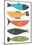 Playful Fish-Ayse-Mounted Art Print