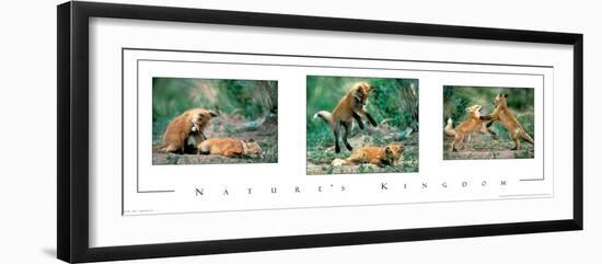 Playful Foxes Tryp-unknown unknown-Framed Photo