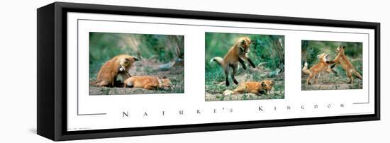 Playful Foxes Tryp-unknown unknown-Framed Stretched Canvas