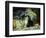 Playful Kittens-Julius Adam-Framed Giclee Print