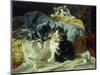 Playful Kittens-Julius Adam-Mounted Giclee Print
