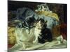 Playful Kittens-Julius Adam-Mounted Giclee Print