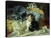 Playful Kittens-Julius Adam-Stretched Canvas