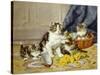 Playful Kittens-Daniel Merlin-Stretched Canvas