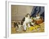 Playful Kittens-Daniel Merlin-Framed Giclee Print