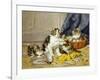 Playful Kittens-Daniel Merlin-Framed Giclee Print