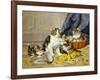 Playful Kittens-Daniel Merlin-Framed Giclee Print