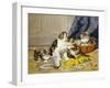 Playful Kittens-Daniel Merlin-Framed Giclee Print