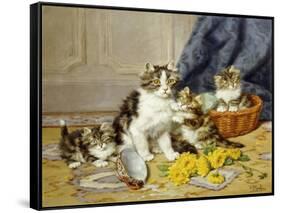 Playful Kittens-Daniel Merlin-Framed Stretched Canvas