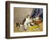 Playful Kittens-Daniel Merlin-Framed Premium Giclee Print