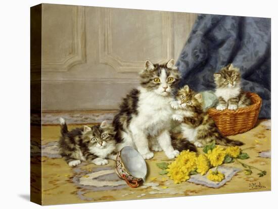 Playful Kittens-Daniel Merlin-Stretched Canvas