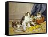 Playful Kittens-Daniel Merlin-Framed Stretched Canvas