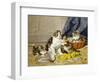 Playful Kittens-Daniel Merlin-Framed Giclee Print