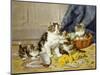 Playful Kittens-Daniel Merlin-Mounted Giclee Print