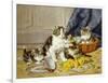 Playful Kittens-Daniel Merlin-Framed Giclee Print