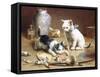 Playful Kittens-Carl Reichert-Framed Stretched Canvas