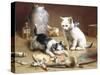 Playful Kittens-Carl Reichert-Stretched Canvas