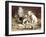 Playful Kittens-Carl Reichert-Framed Giclee Print