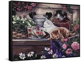 Playful Kittens-Jenny Newland-Framed Stretched Canvas