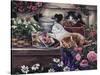 Playful Kittens-Jenny Newland-Stretched Canvas