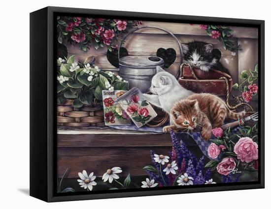 Playful Kittens-Jenny Newland-Framed Stretched Canvas