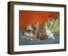 Playful Kittens-Daniel Merlin-Framed Premium Giclee Print