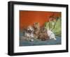 Playful Kittens-Daniel Merlin-Framed Premium Giclee Print