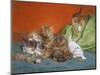 Playful Kittens-Daniel Merlin-Mounted Premium Giclee Print