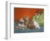 Playful Kittens-Daniel Merlin-Framed Giclee Print