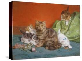 Playful Kittens-Daniel Merlin-Stretched Canvas