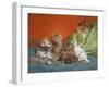 Playful Kittens-Daniel Merlin-Framed Giclee Print