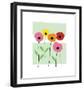 Playful Poppies-Muriel Verger-Framed Giclee Print