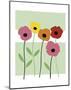 Playful Poppies-Muriel Verger-Mounted Art Print